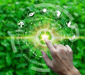 Environmental Science and Sustainability 