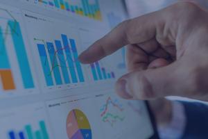 Impact Analysis of Government Reforms