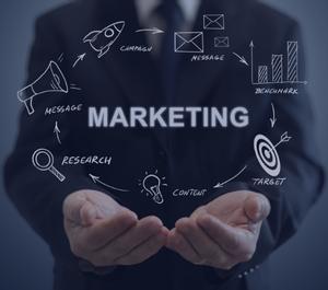 التسويق والمبيعات