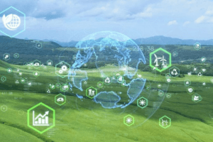 تصميم وتنفيذ أسواق الكربون