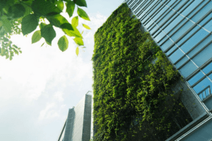 الحل القائم على تغير المناخ والتنمية المستدامة