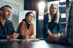 Operational and Performance Auditing training course
