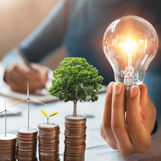 التمويل الأخضر واستراتيجيات الاستثمار المستدام