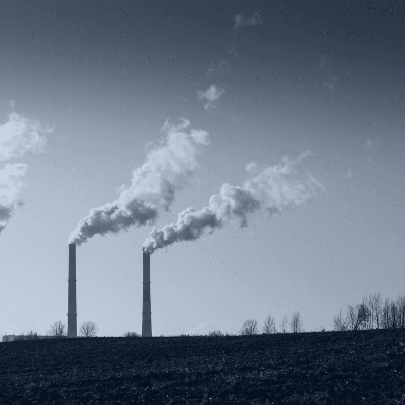 تضرر المكامن تضرر المكامن