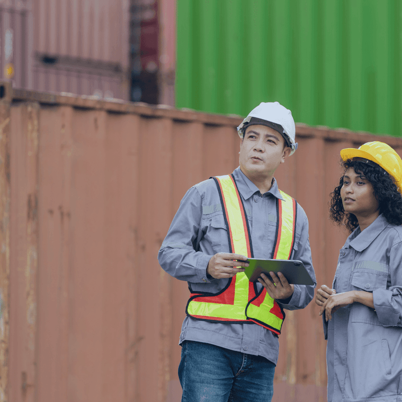 Supply Chain Risk Management Professional Course