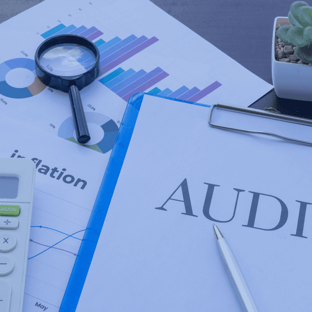 Advanced Audit Committee Governance