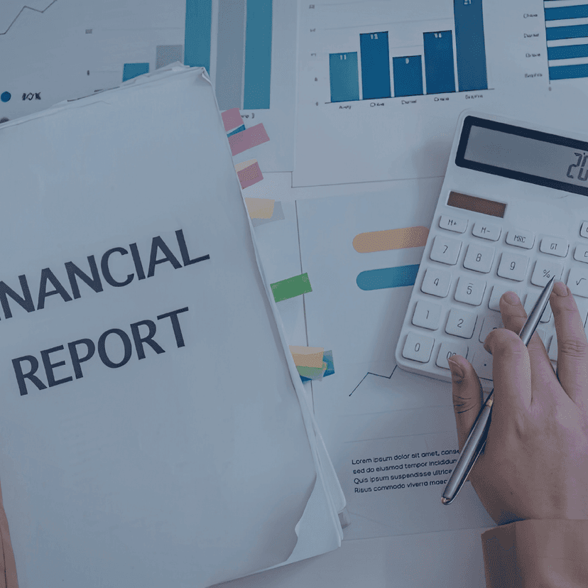 برنامج الرقابة المالية لمجالس الإدارة على الأداء المؤسسي