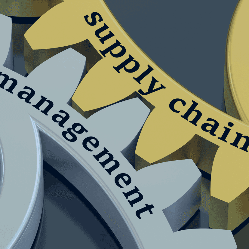 Strategic Cost Management & Value Optimization in Supply Chains